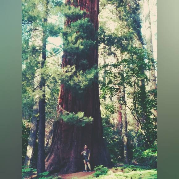 ☆》🔆Welcome to My Closet🔆《☆ - Picture 1 of 13